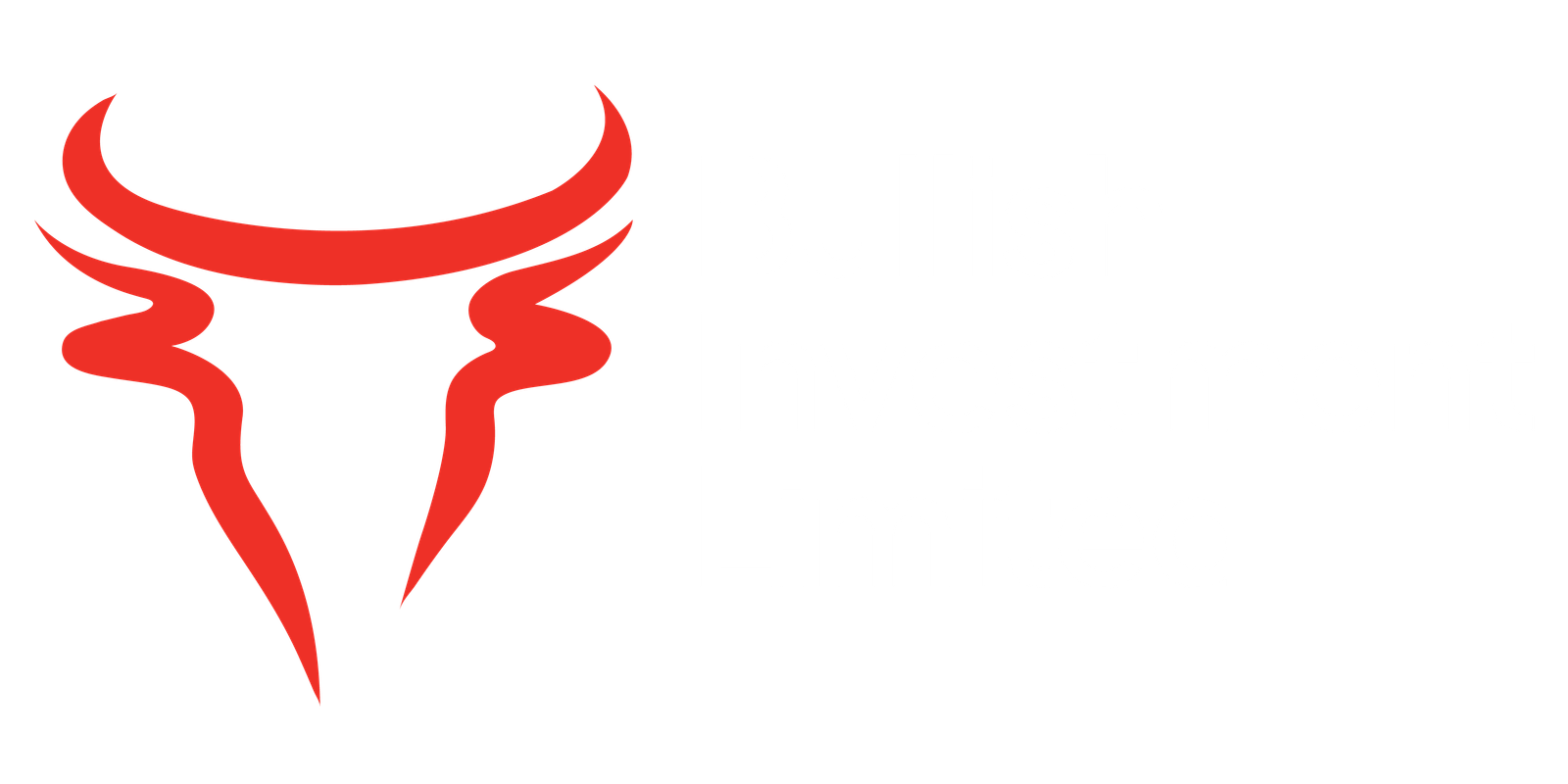 Bullish Investments Logo